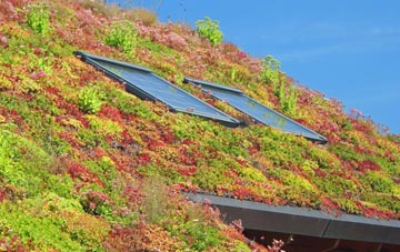 St Pinnock living roof systems